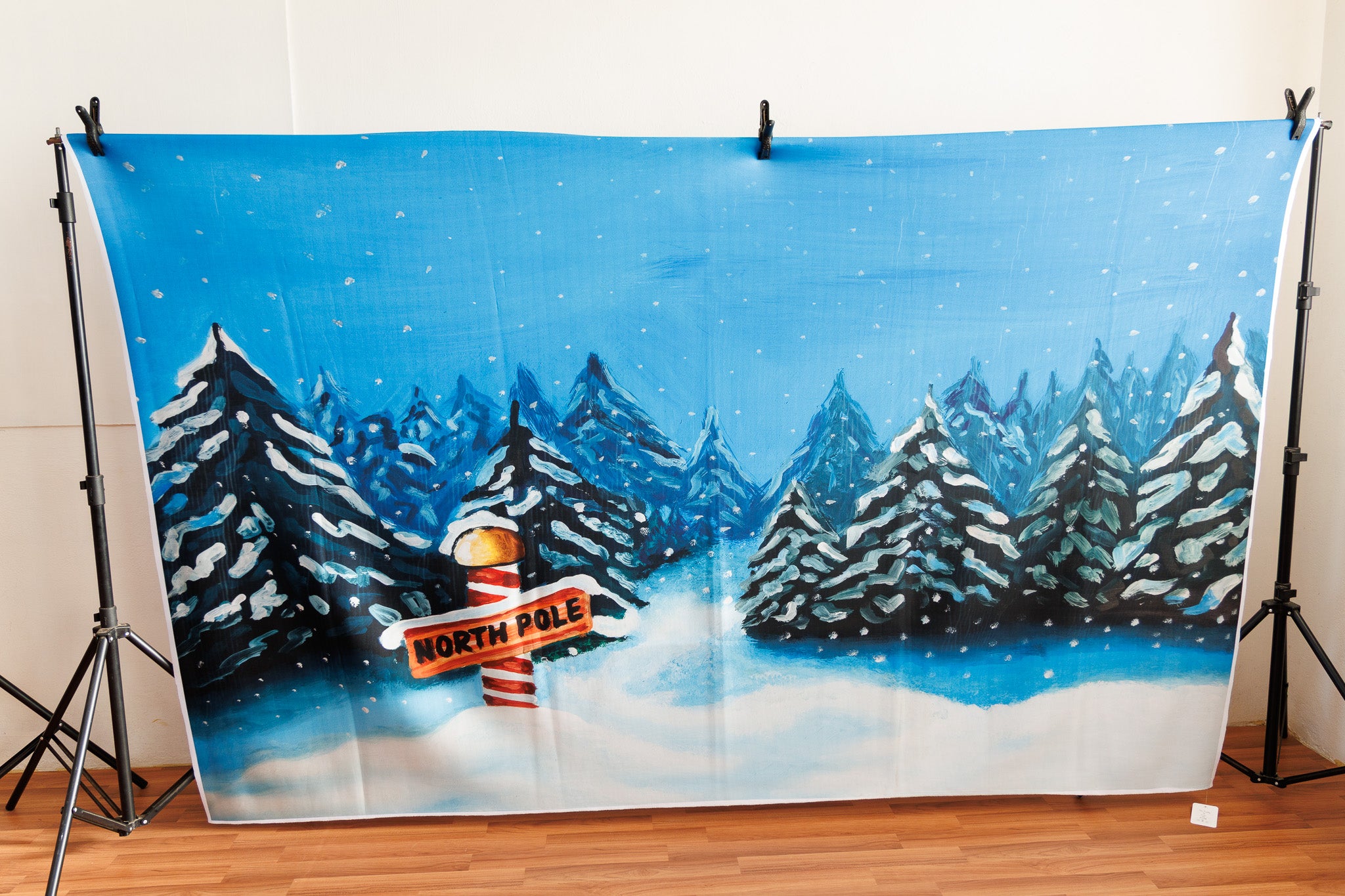North Pole 5x8 ft- Fabric (BAD038)