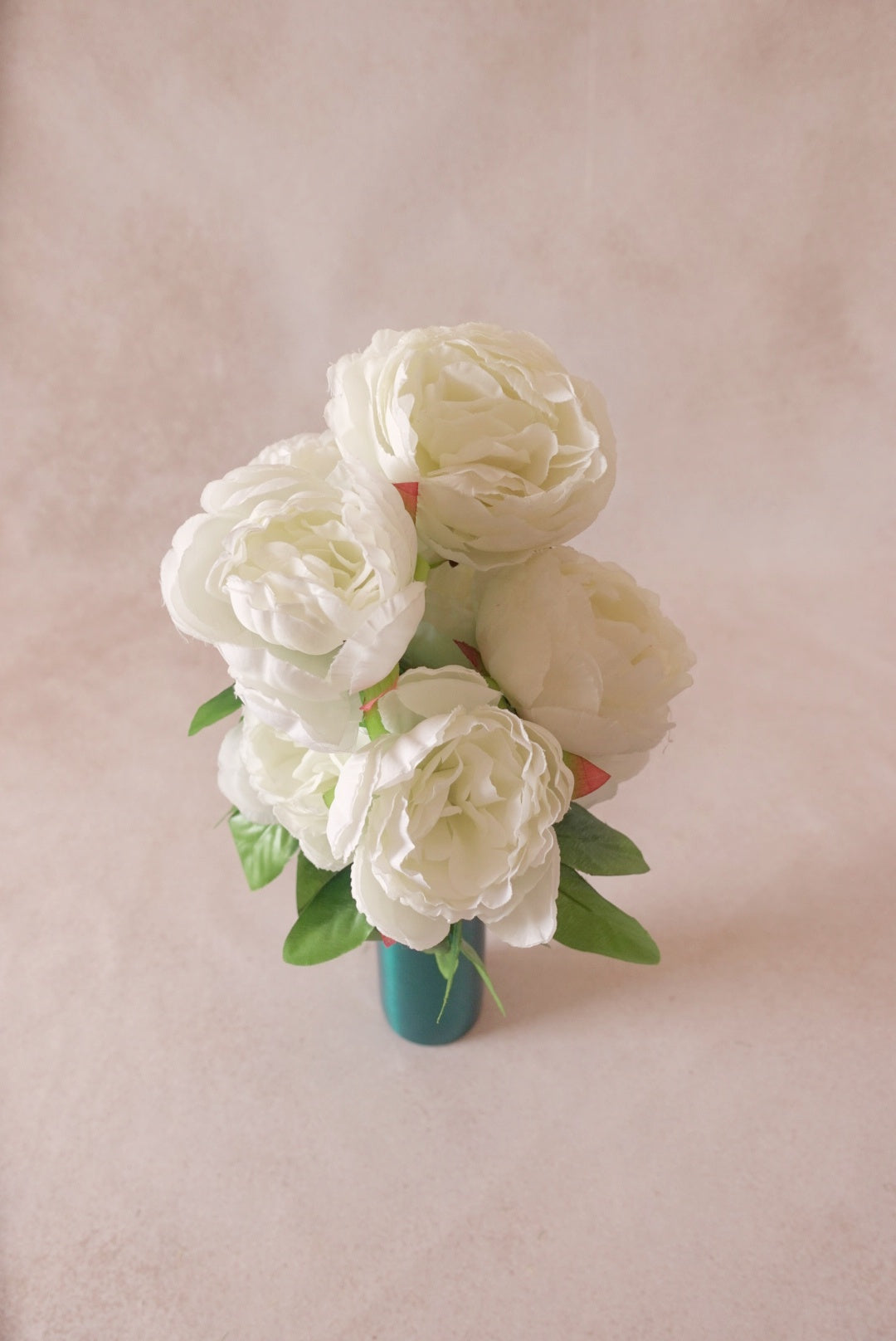 Peonies - Cream