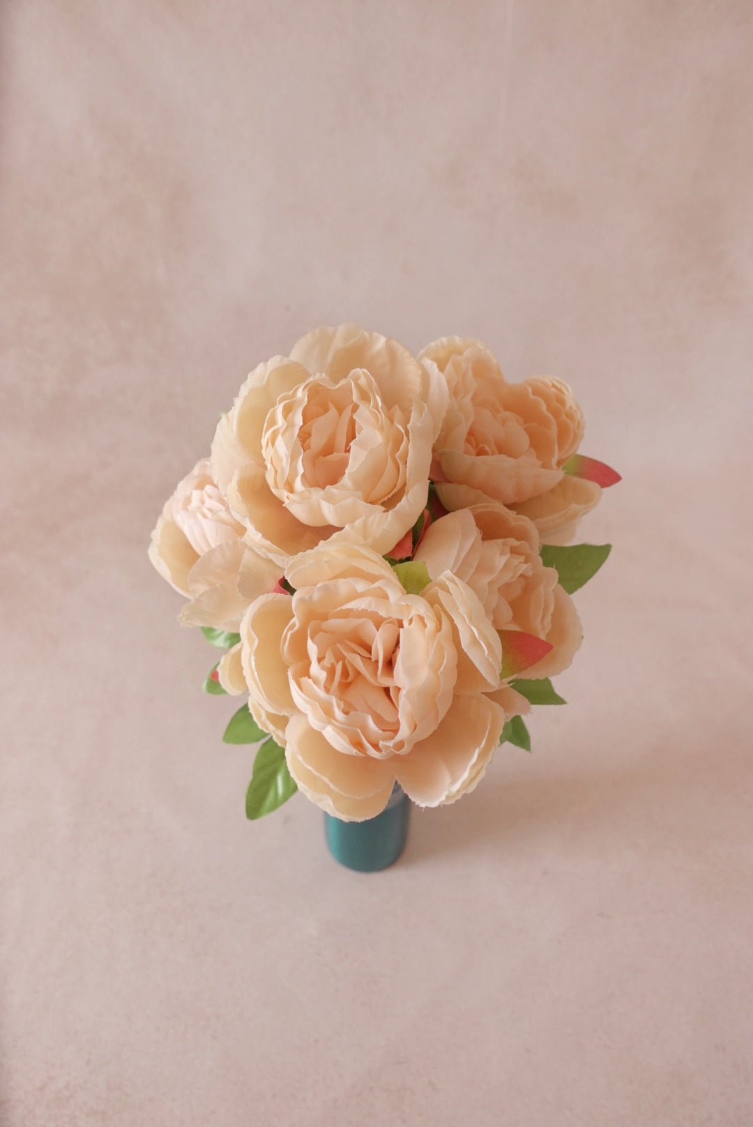 Peonies - Peach