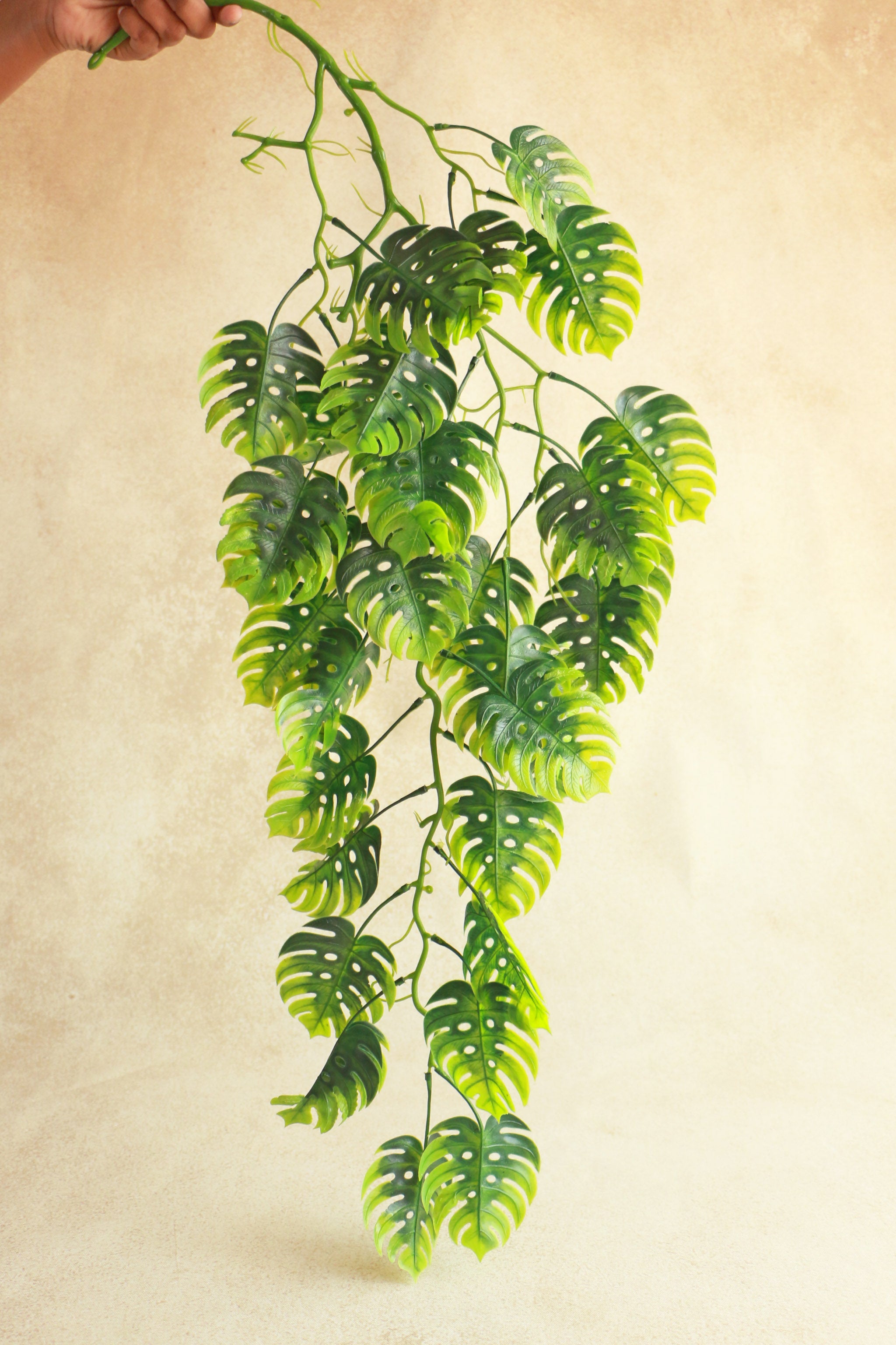 monstera deliciosa creeper Monsterra Creeper – Artista Prop Shop