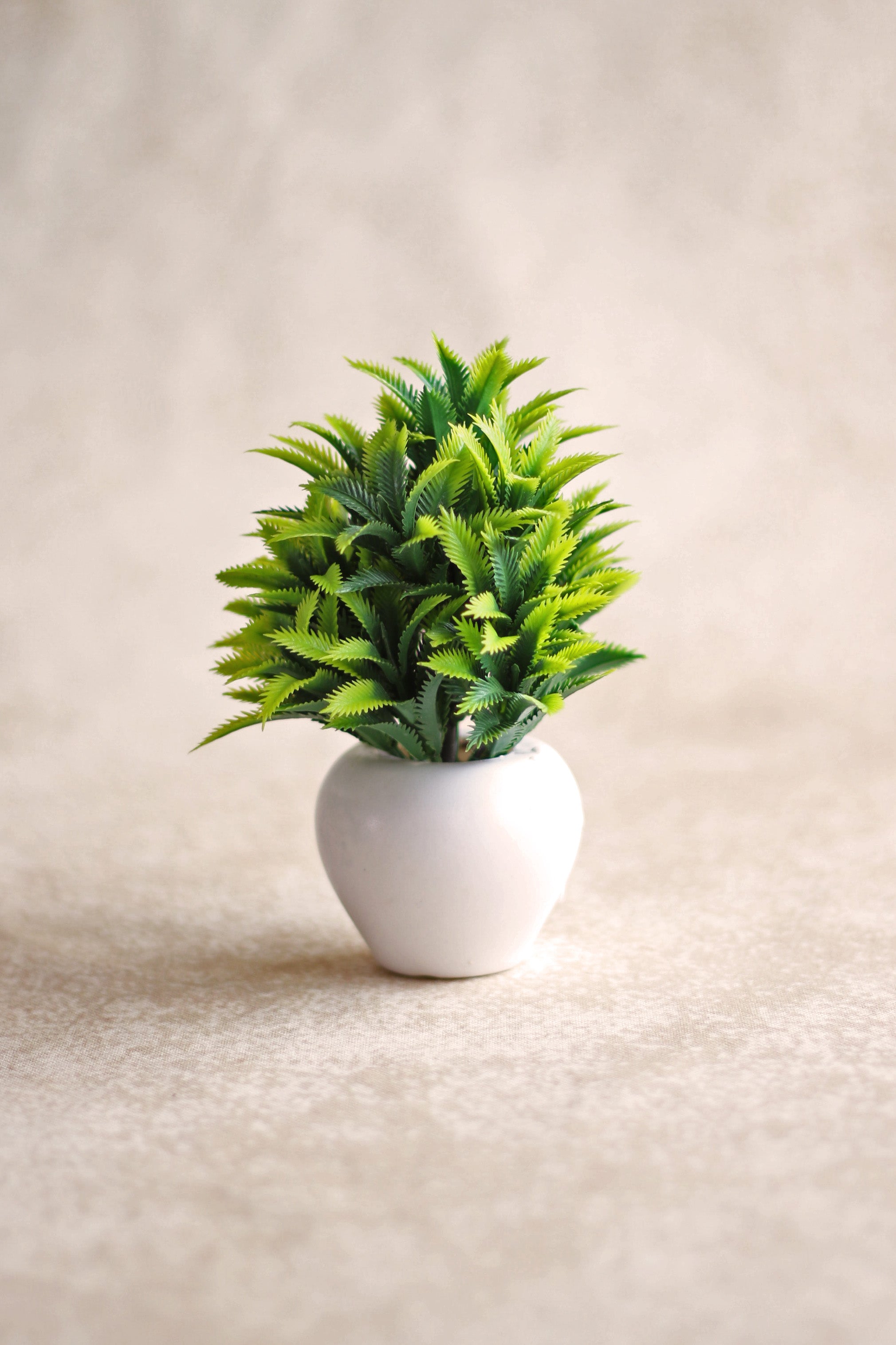 Green Plant – Artista Prop Shop