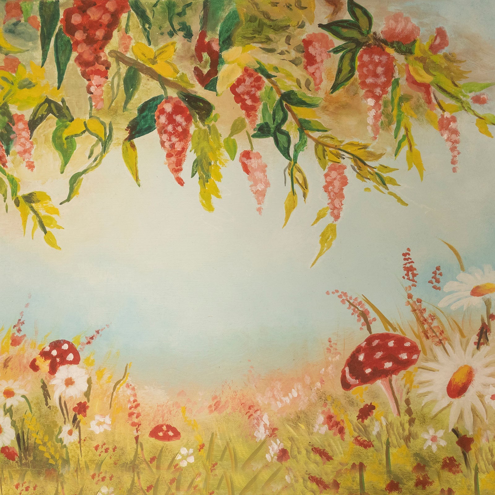 Mushroom Field - 5x6 FT - Fabric