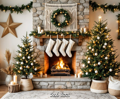 Xmas Home