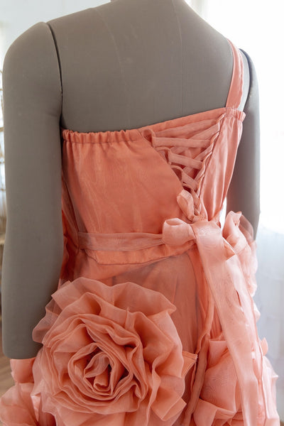 Shreya gown
