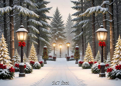 Snowy Day