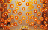 RTS Floral Diyas 5x8 ft. Fabric