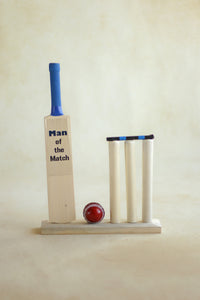 Cricket Set