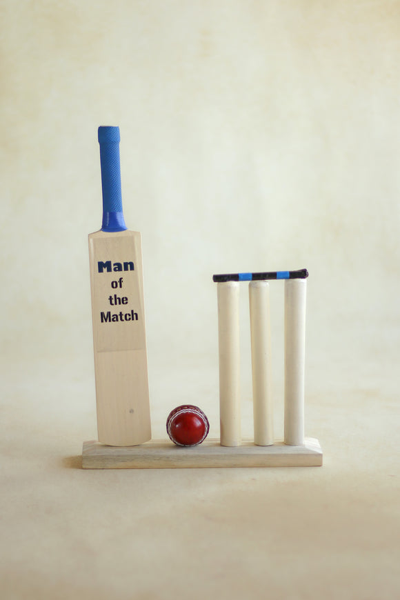 Cricket Set
