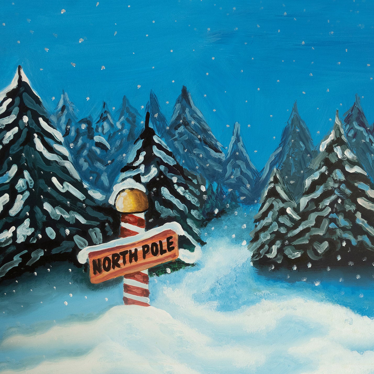 North Pole 5x8 ft- Fabric (BAD038)