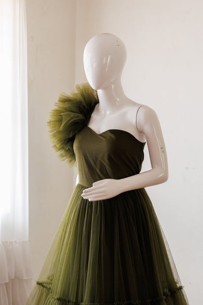 Aashvi gown