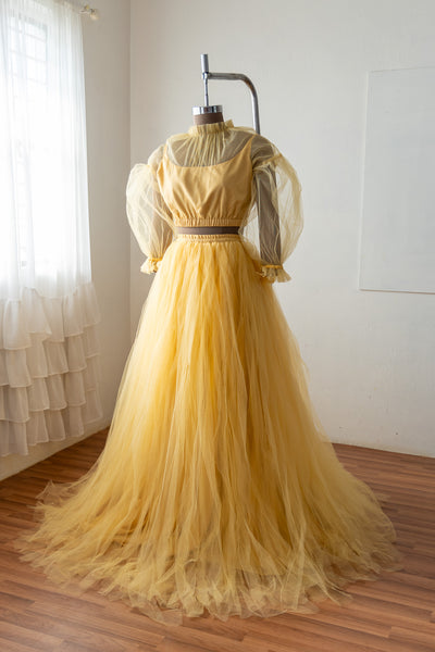 Neha gown