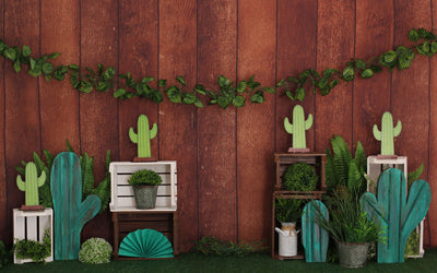 Cactus Garden