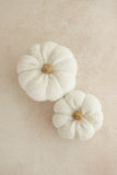 White Pumpkins - set of 2