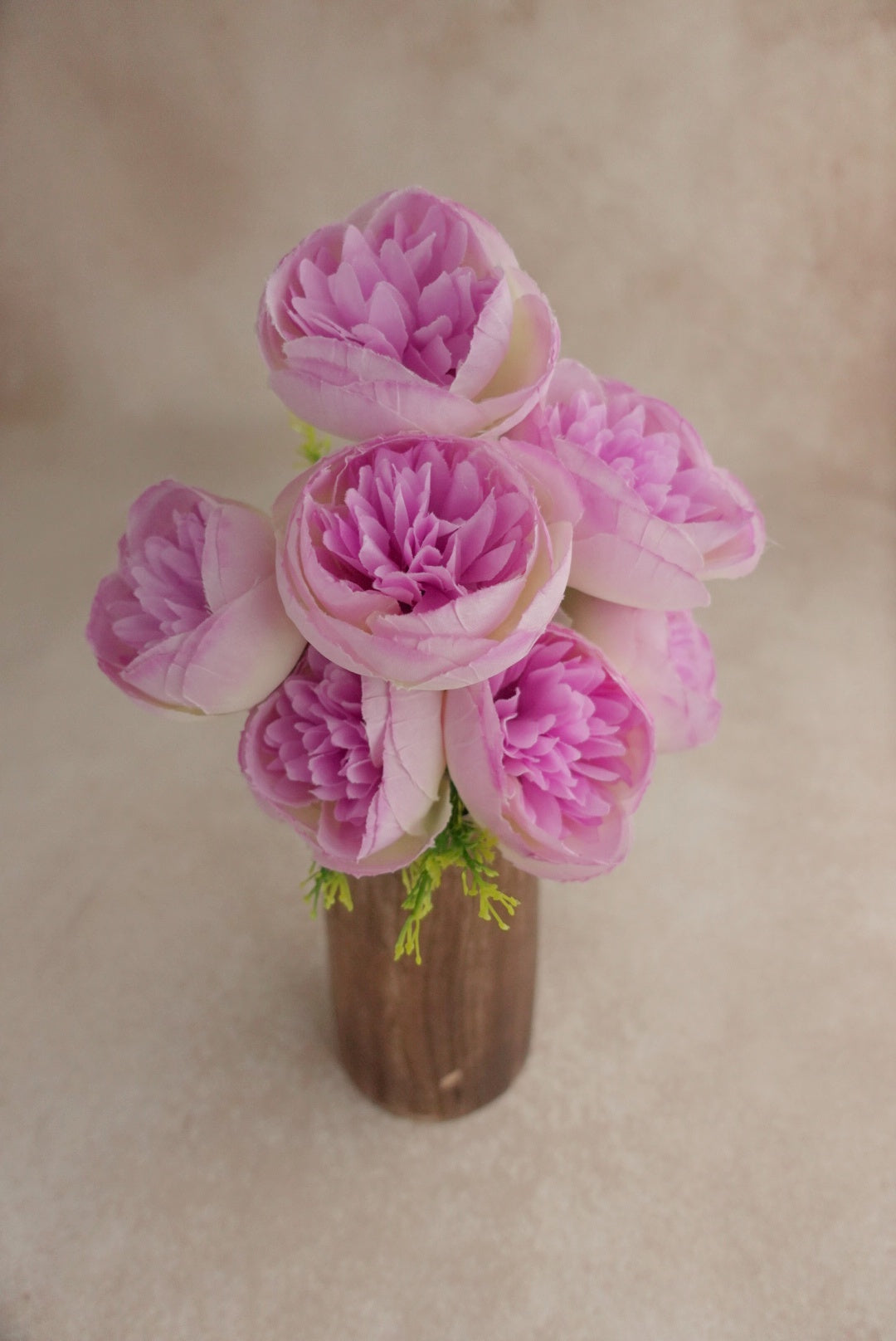 Bulb peony - Purple