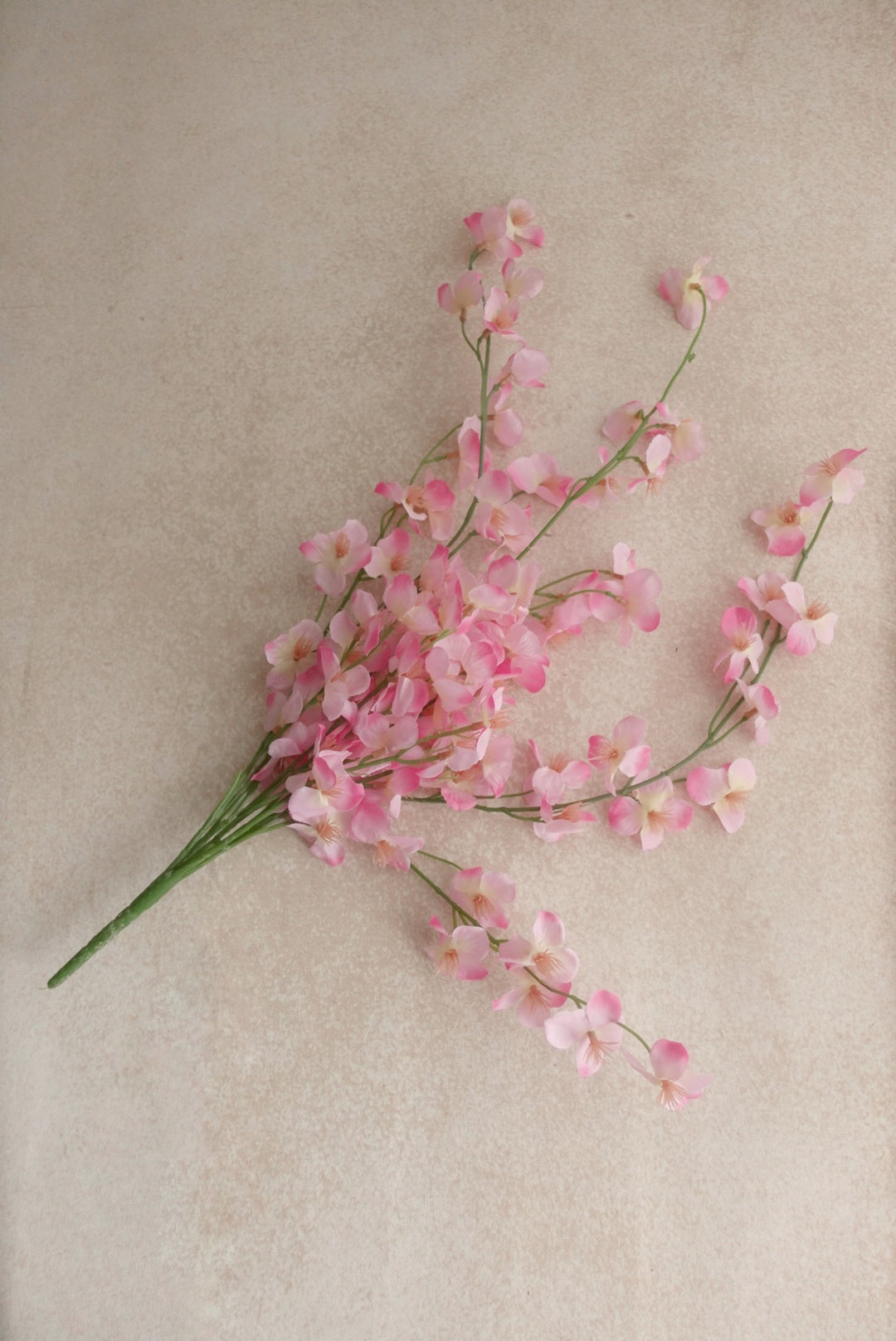 Wisteria - Pink