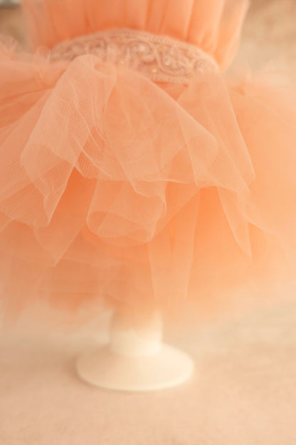 Peachy frock