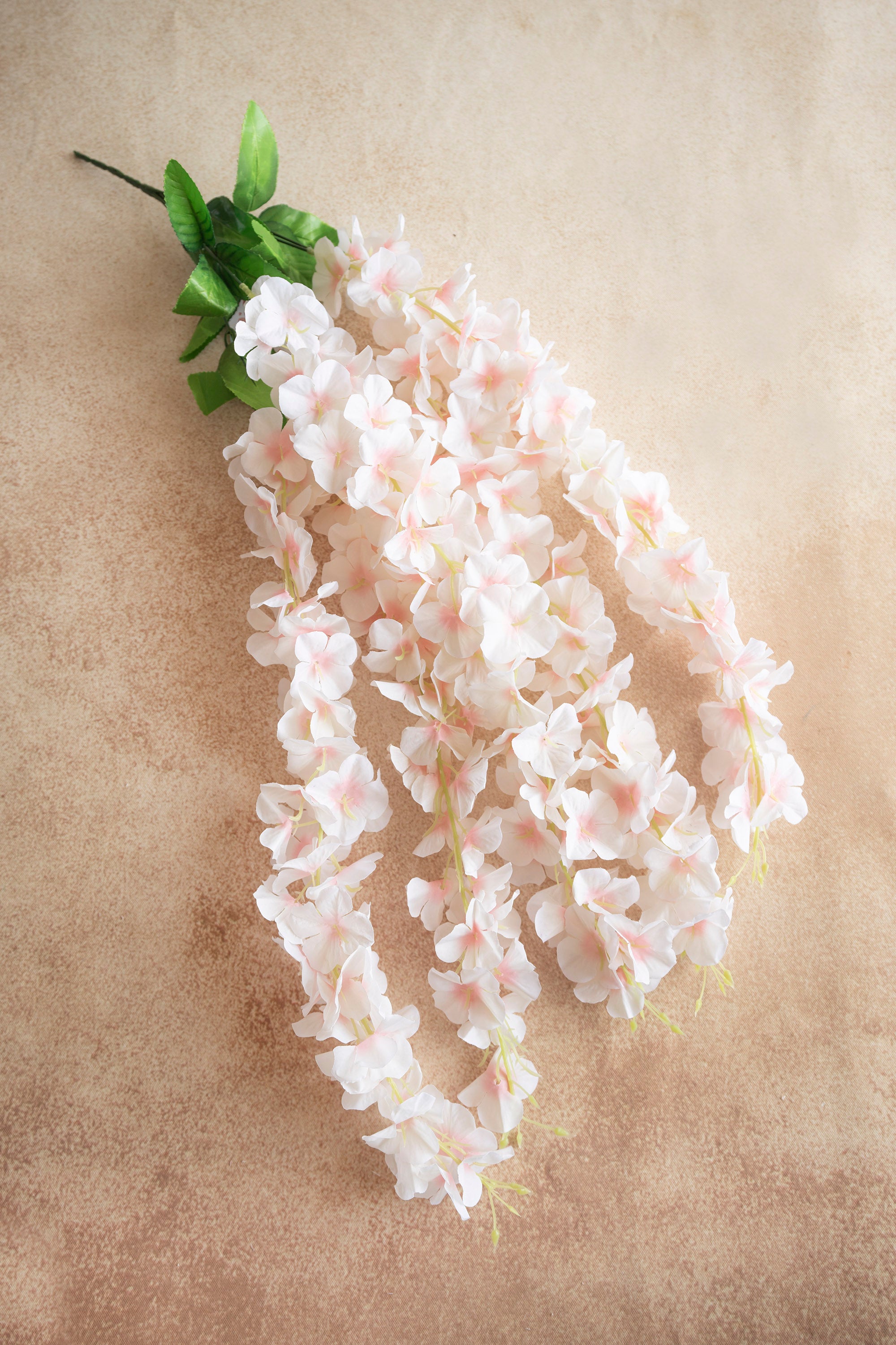 Baby Pink Drapers