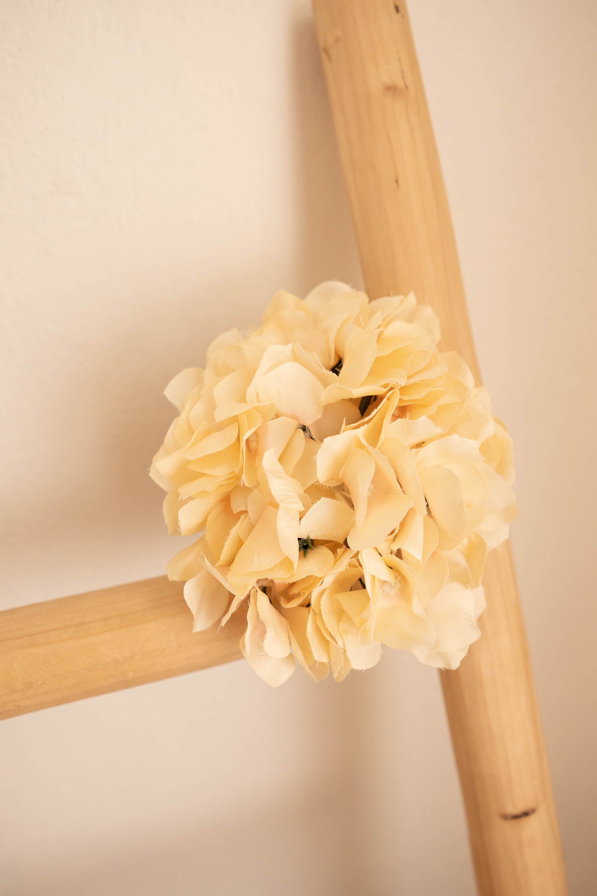 Hydrangea Heads - Peach