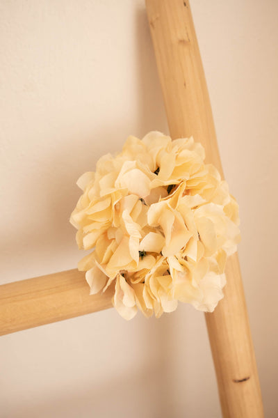 Hydrangea Heads - Peach