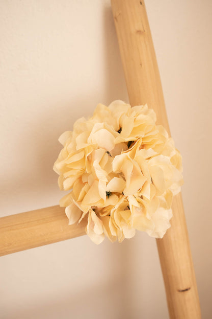 Hydrangea Heads - Peach