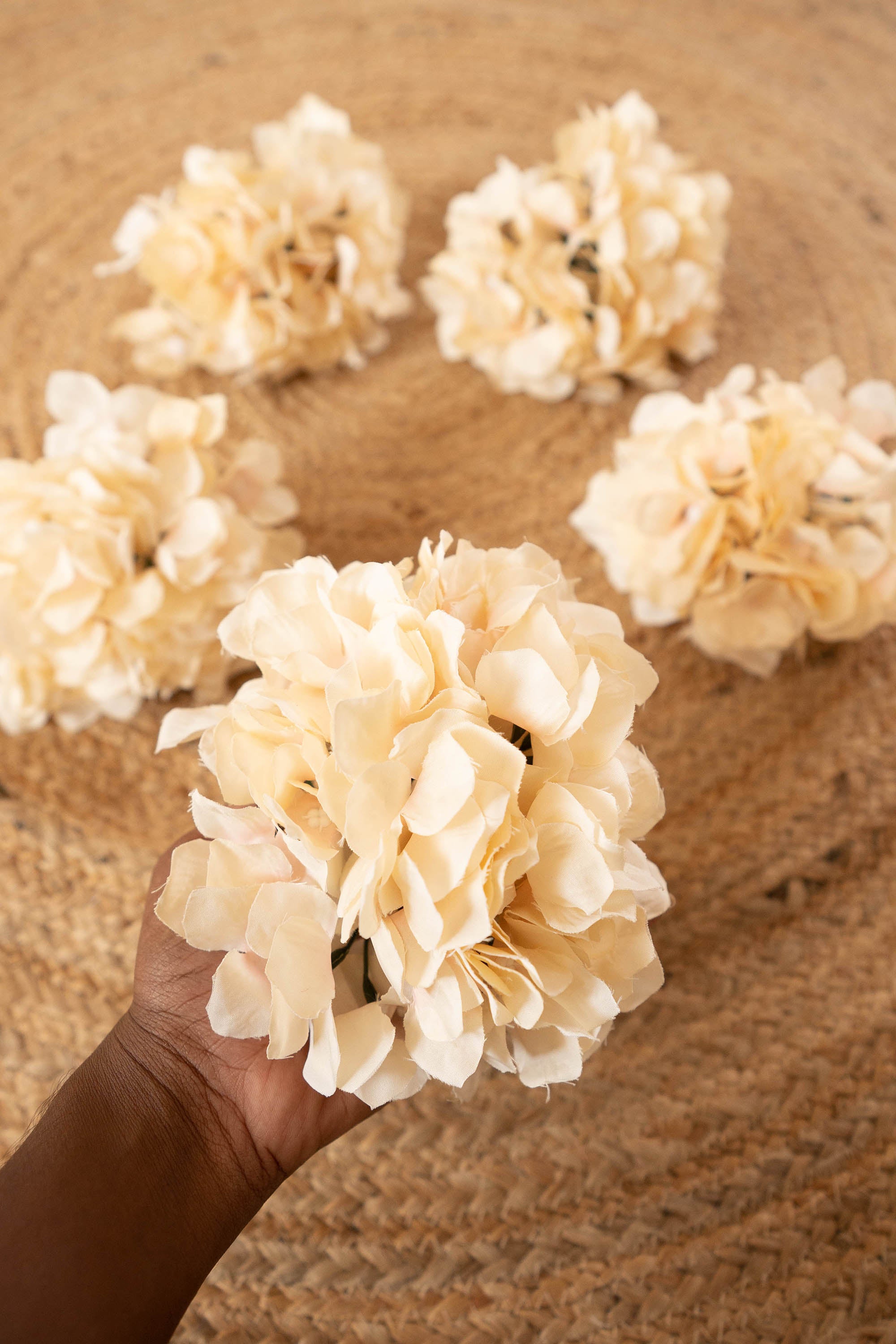 Hydrangea Heads - Peach