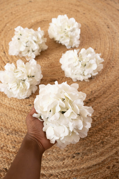 Hydrangea Heads - White