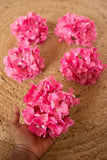 Hydrangea Heads - Pink