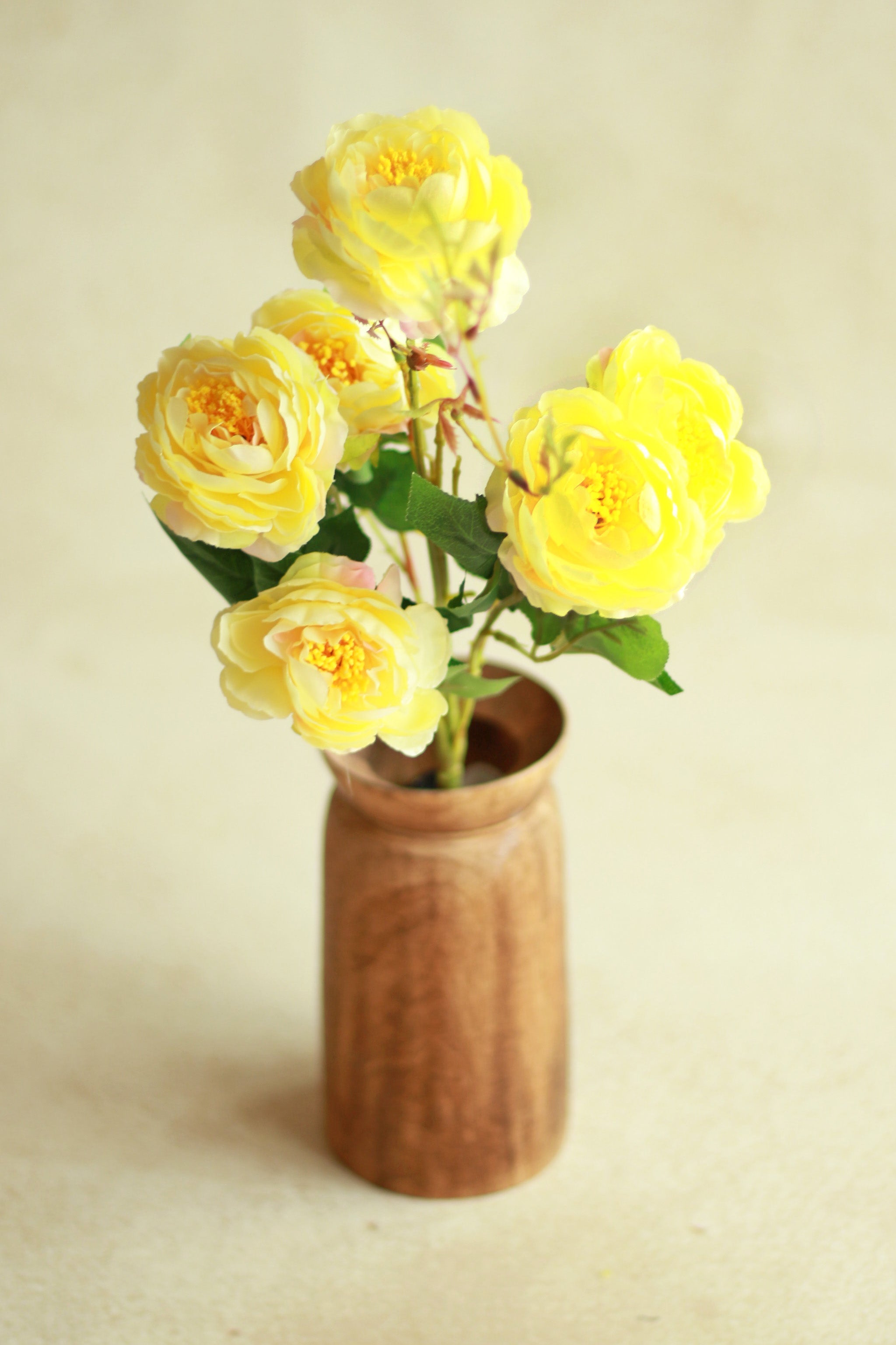 Open Peony - Yellow