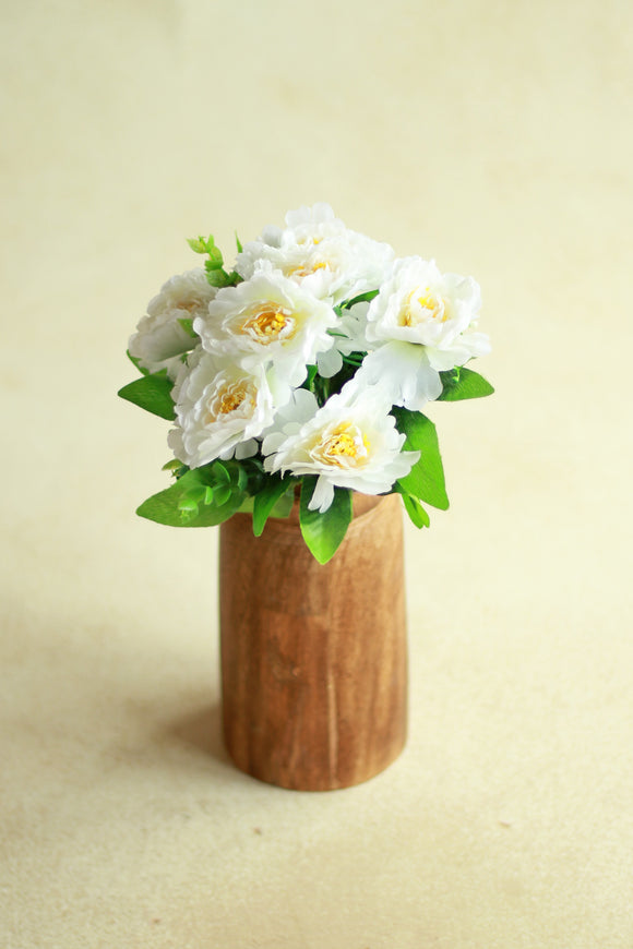 Daffodil - White