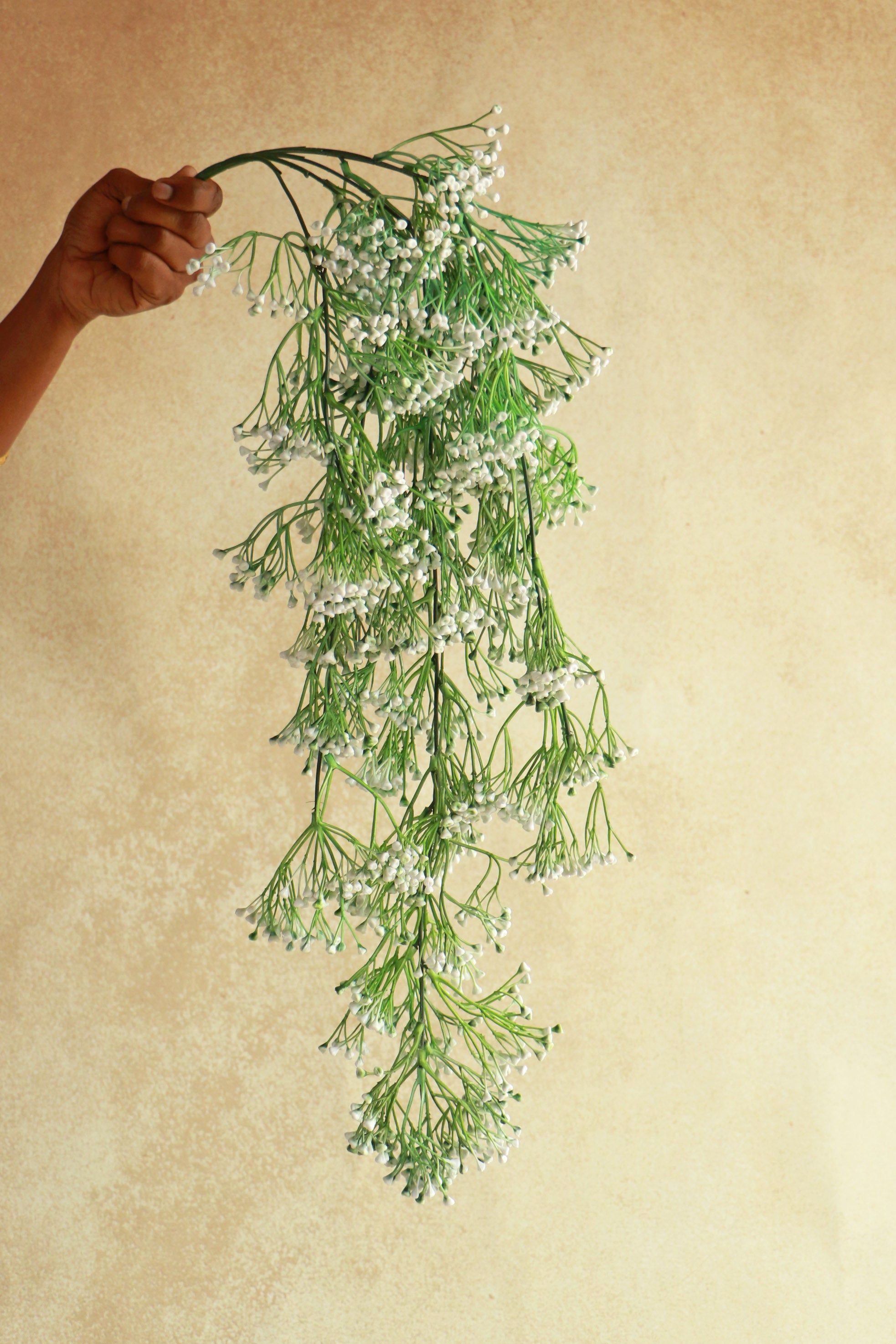 Baby's Breath Creeper - White