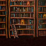 RTS Library 5x6 FT - Fabric
