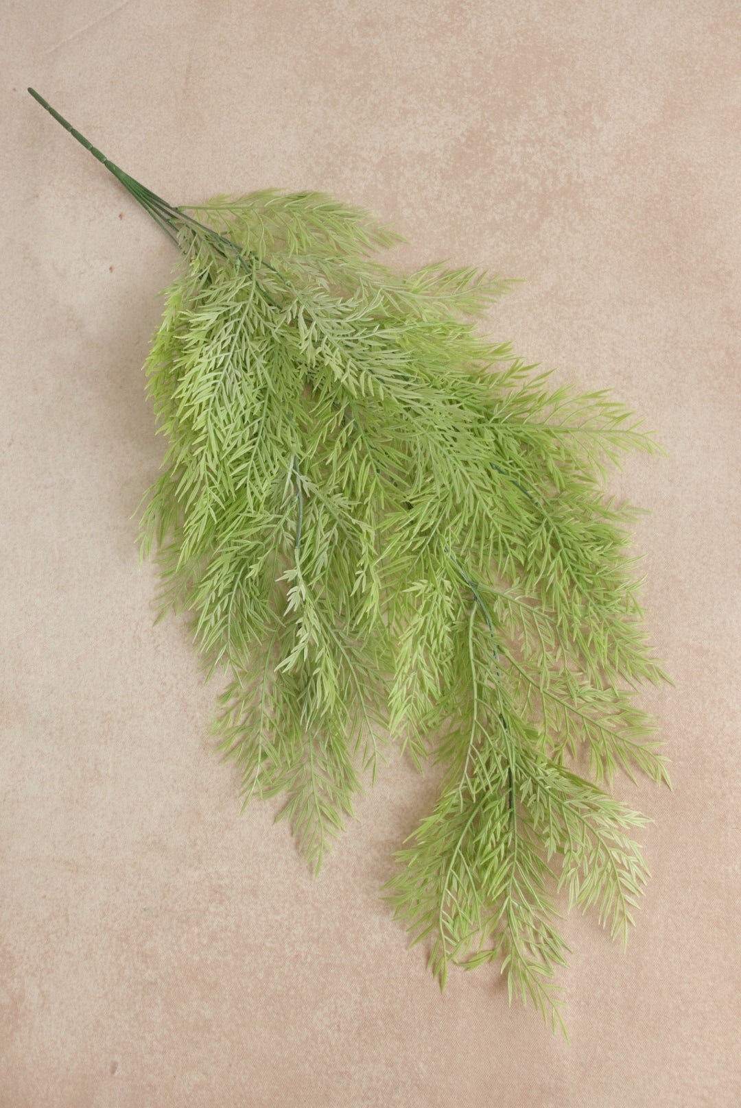 Thyme