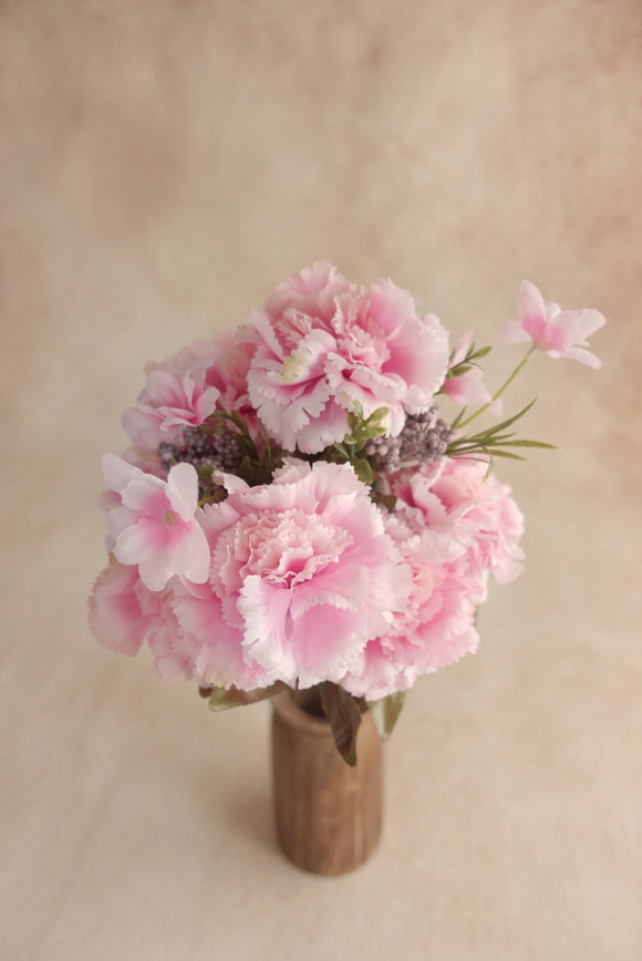 Carnation - Rose