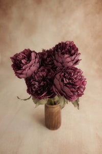 Ranuculus - Wine