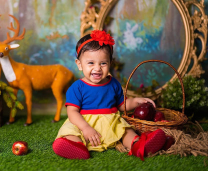 Snow White Frock